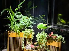 -四季花城功能SPA(科技四路店)