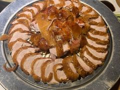 -守柴炉烤鸭(科华中路王府井店)