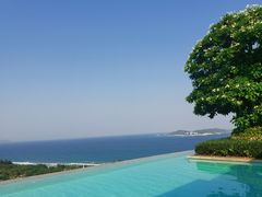 -瑰丽酒店·海吧·天际下午茶·现场DJ·天台酒吧