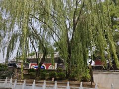 -皇家御河游(紫御湾码头)