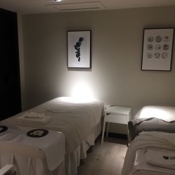 -三只熊皮肤管理中心旗舰店