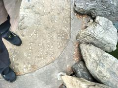 -北京友谊宾馆·俄罗斯餐厅
