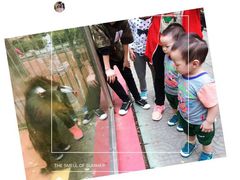 -荆州中山公园动物园