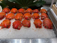 -太湖饭店玉兰厅(自助餐厅)