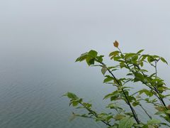 -武陵山森林公园