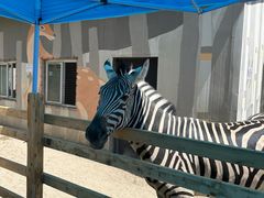 -水上乐园·欢乐世界