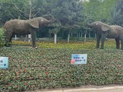 -长白岛森林公园