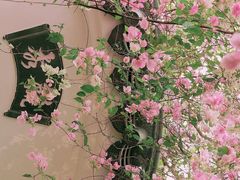 -深圳国际园林花卉博览园