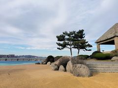 -悦海公园