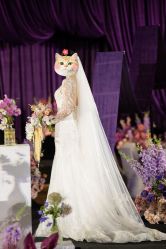 -美薇亭婚礼顾问