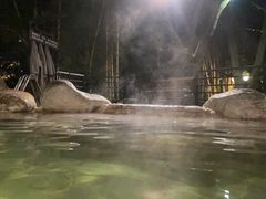 -湖泉半山温泉(湖泉生态园)