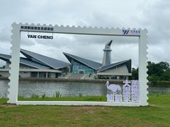 -盐城丹顶鹤湿地生态旅游区