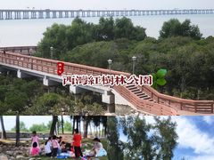-宝安西湾红树林湿地公园