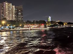 -珠江夜游广州塔·中大码头