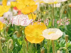 -睦南公园