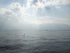 -大理洱海