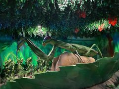 -横店影视城梦幻谷园区