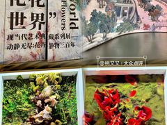 -德基艺术博物馆