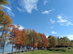 -大理洱海
