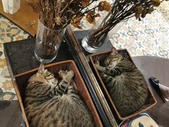 -恋物百货商店(华侨城店)