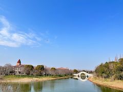 -上海海湾国家森林公园