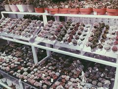 -KKV(深圳宏发大仟里店)