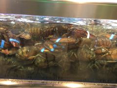 -盒马鲜生(大成店)