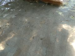 -碧水湾温泉