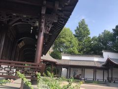 -运河游船(武林门码头)