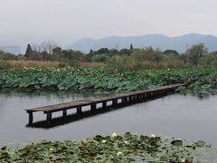 -长兴太湖图影湿地文化园