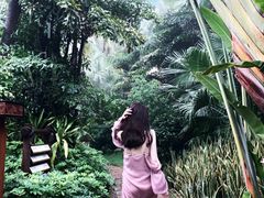 -厦门日月谷温泉渡假村