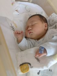 -复旦大学附属妇产科医院(杨浦院区)