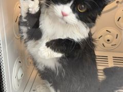 -FAELING PETS美天灵宠物(富力广场店)