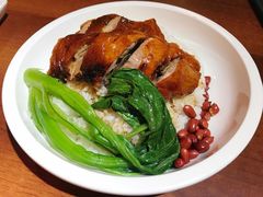 明炉烧鸭饭-德宏记·茶餐厅(新辰里学清路店)