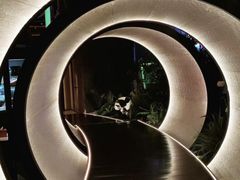 -水之梦(黄浦店)