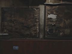 -福烤锦花(长乐路店)