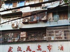 -武汉花鸟市场