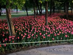 -长春公园(普阳街道)