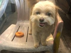 -花莲东大门国际观光夜市