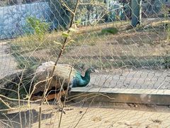 -无锡动物园·太湖欢乐园