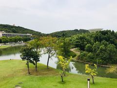 -上海佘山世茂艾美酒店