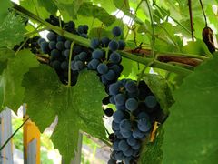 -北京古堡35号院