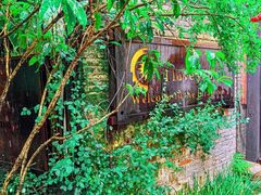 -野蔓果·山野菜(西湖景区·龙井茶田店)