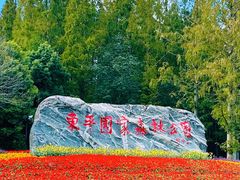 -东平国家森林公园