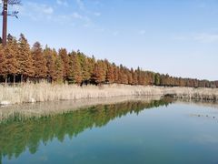 -太湖湖滨国家湿地公园-停车场
