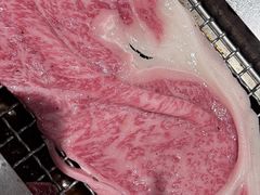 -俺的焼肉(銀座9丁目店)