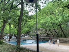 -东明山森林公园