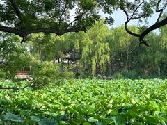 -莲池书院博物馆
