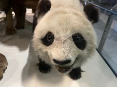 -浙江自然博物院(杭州馆)