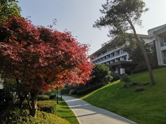 -梅地亚君澜度假酒店俱乐部